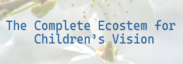 Professional Training for Vision Educators